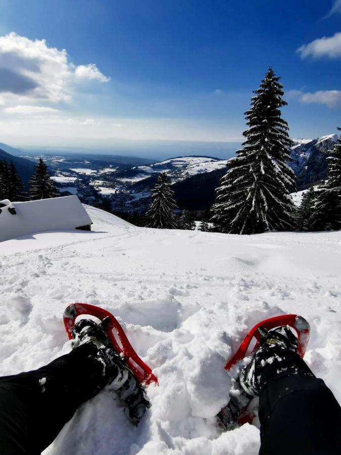 Ecrin Balneo Sauna A Thollon Daire Dış mekan fotoğraf